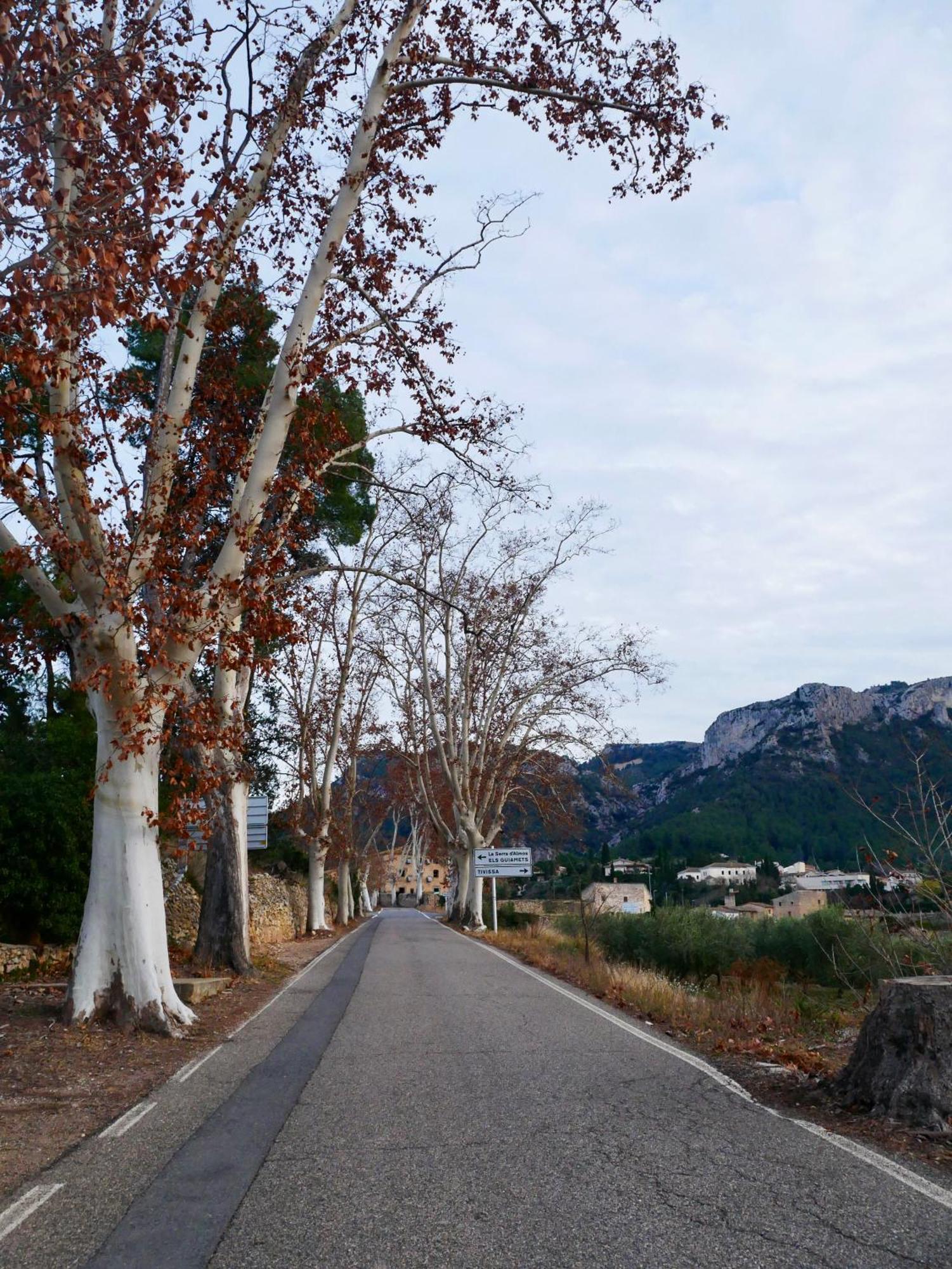 Tivissa Apartament Rural Monetze מראה חיצוני תמונה