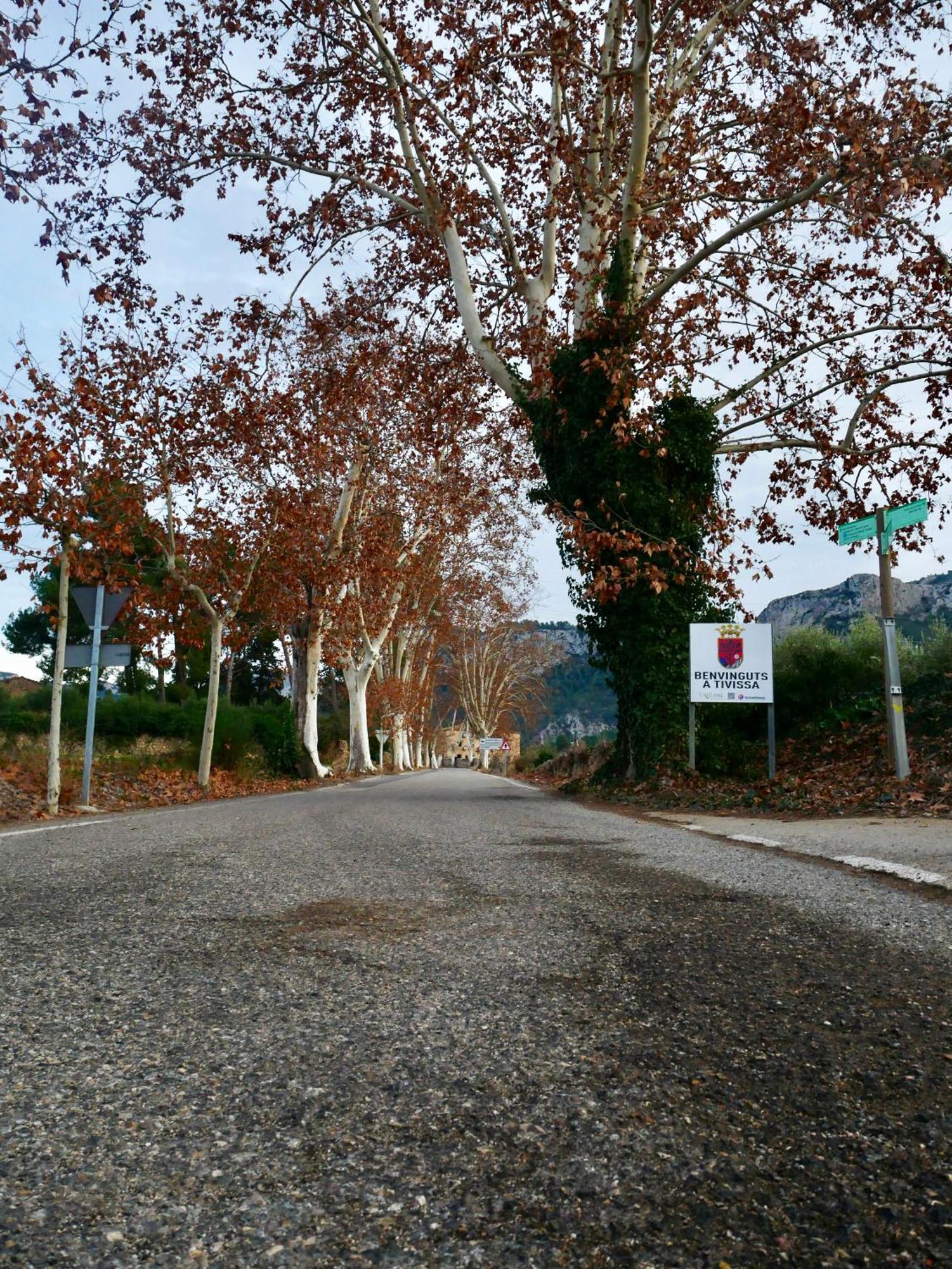 Tivissa Apartament Rural Monetze מראה חיצוני תמונה